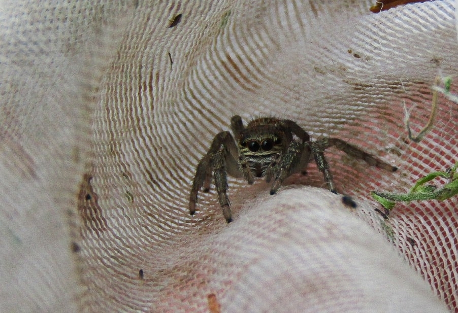 Фотоконкурс - 2025!